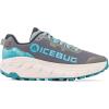 Icebug Womens Arcus2 RB9X GTX Road Running Shoe with Traction Sole